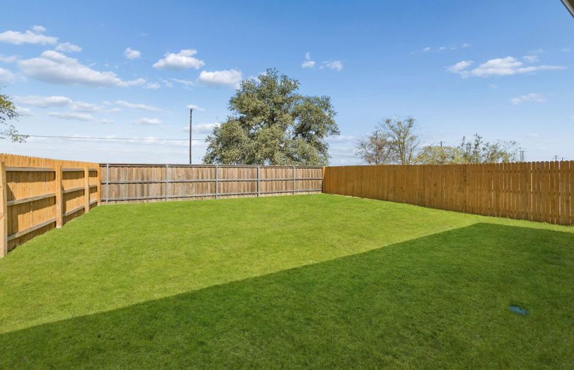 Backyard