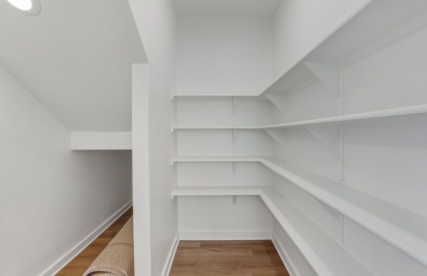 Representational Photo- Kitchen Pantry