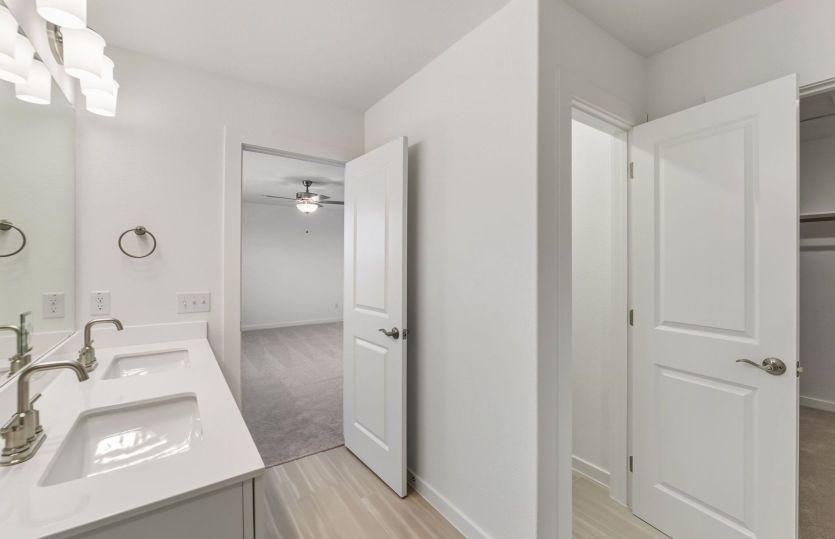 Representational Photo- Primary Bathroom