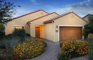 Creosote - Parkside at Anthem at Merrill Ranch: Florence, Arizona - Pulte Homes