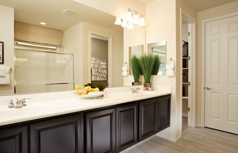 Owner's Bath
