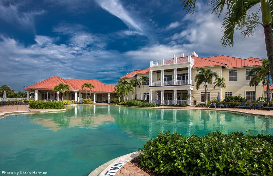 Lagoon Style Pool
