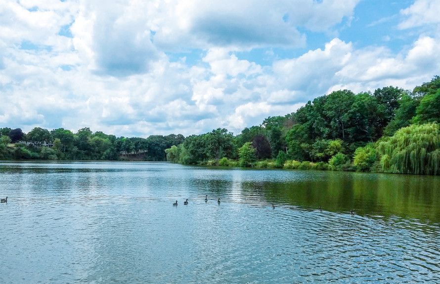 Mill Pond