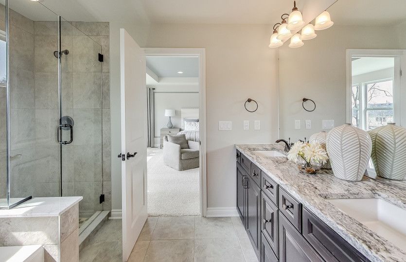 Owner's bath