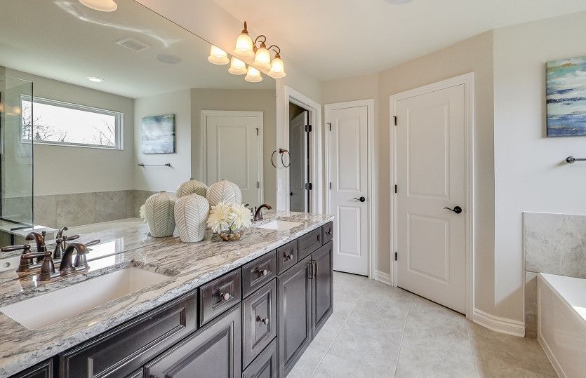 Owner's bath