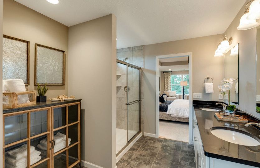 Owner's Bath Suite