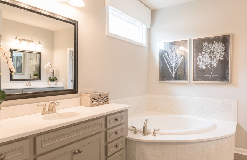 Owner's Bath Option 5 w/soaking tub and large shower
