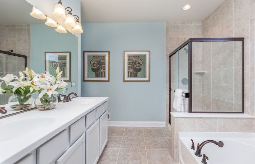 Owner's Bath Option 2 with Dual Bowl Vanity, Soaking Tub, Walk-in Shower and Private Toilet Room