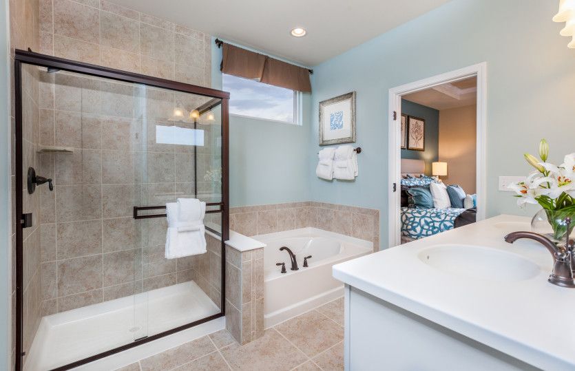 Owner's Bath Option 2 with Dual Bowl Vanity, Soaking Tub, Walk-in Shower and Private Toilet Room