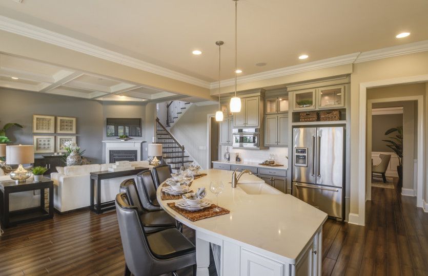 Open Gourmet Kitchen