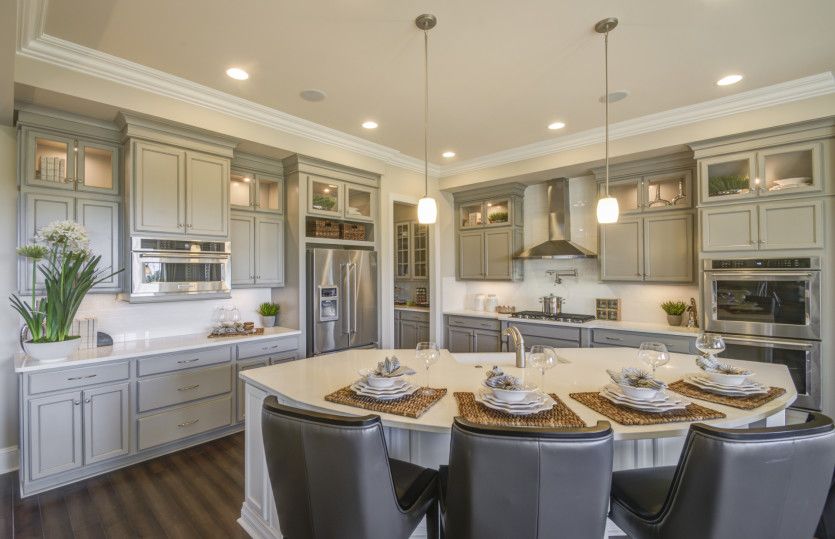 Open Gourmet Kitchen