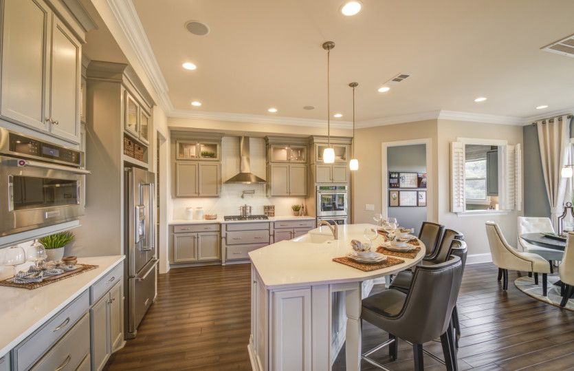 Open Gourmet Kitchen