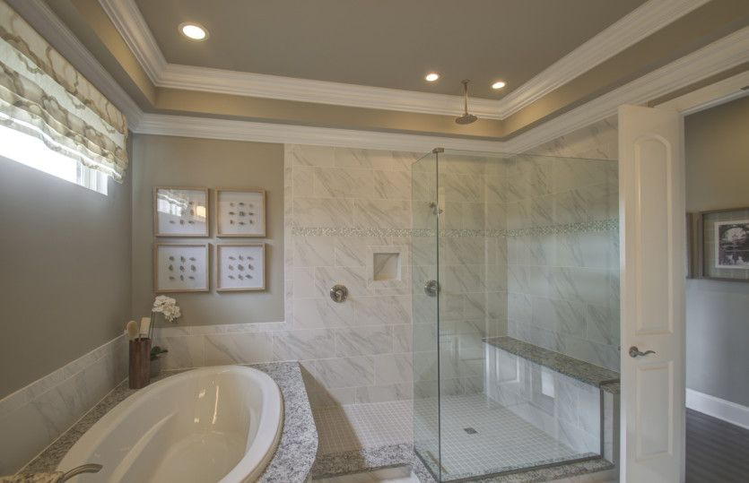 Owner's Bath Option 6