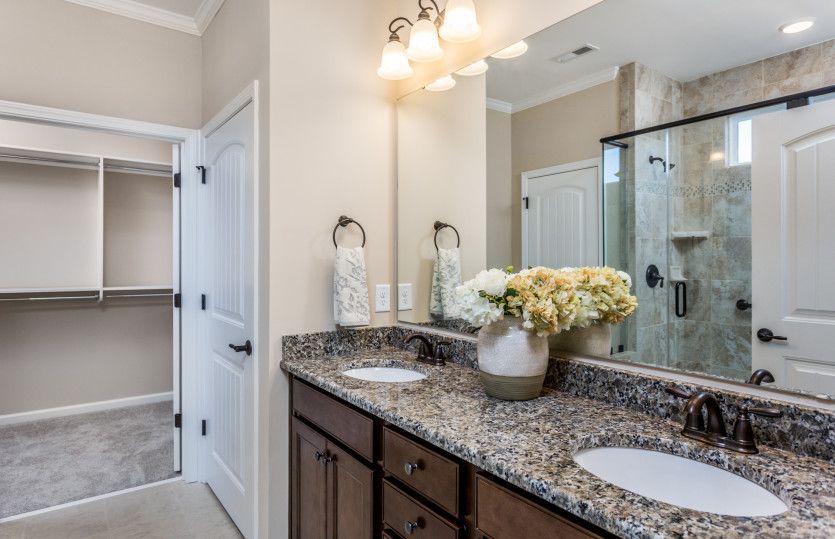 Owner's Bath