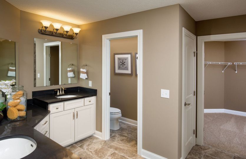 Owner's Bath