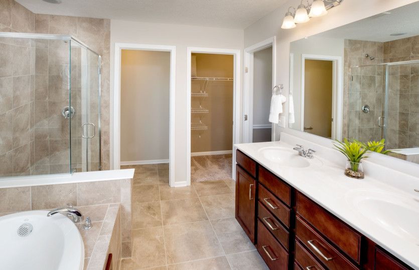 Owner's Bath