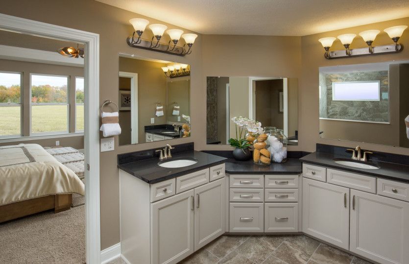 Owner's Bath