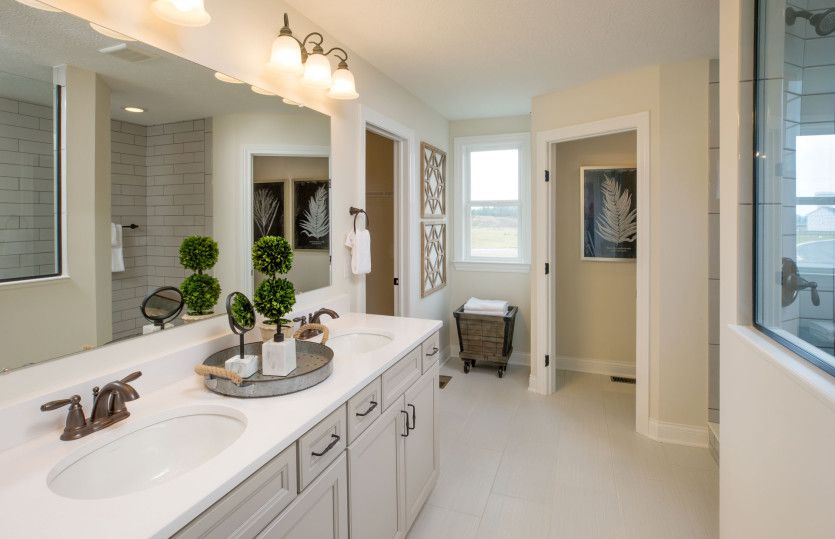 Owner's Bath