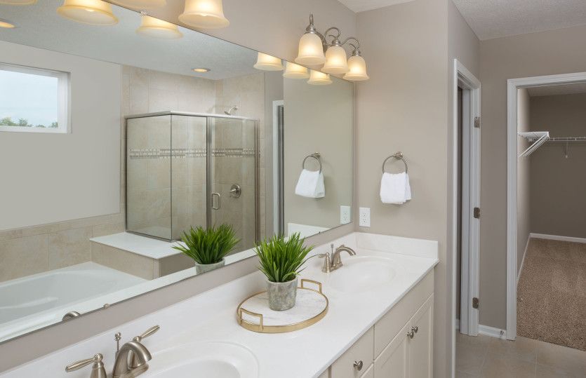 Owner's Bath