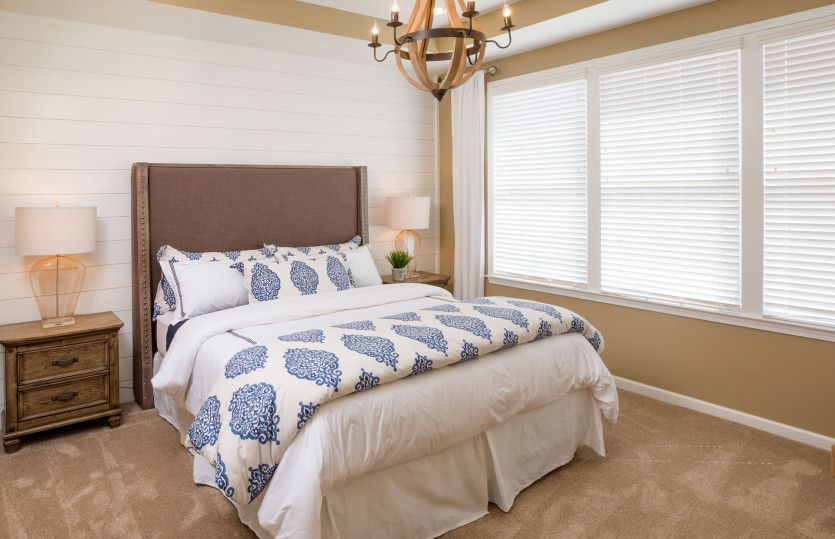 Owner's Suite with Tray Ceiling