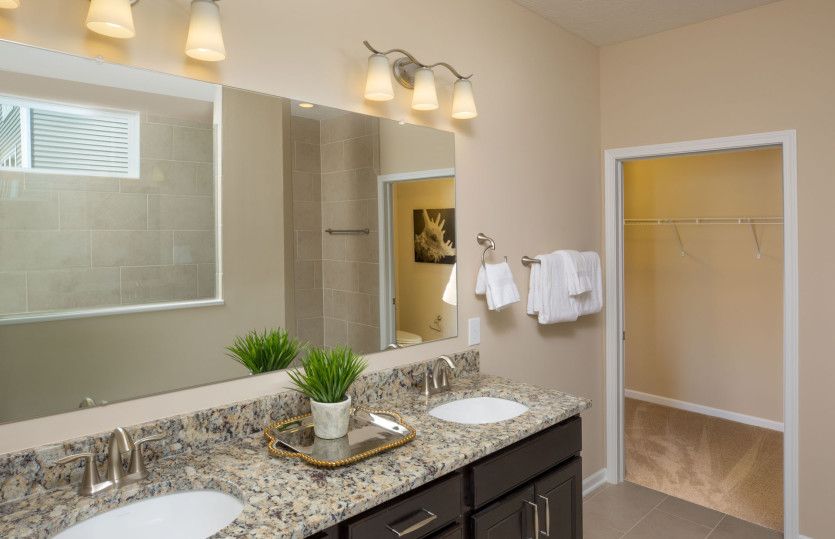 Owner's Bath with Spa Like Features