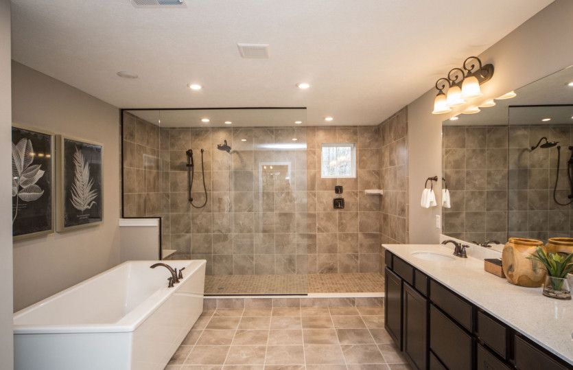 Owner's Bath