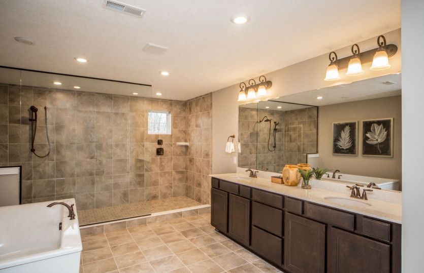 Owner's Bath