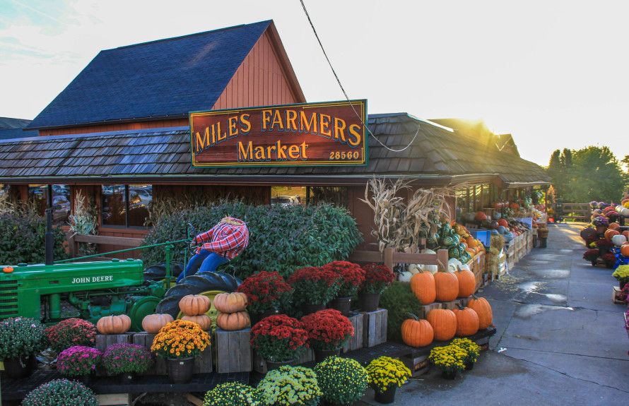 Miles Farmers Market