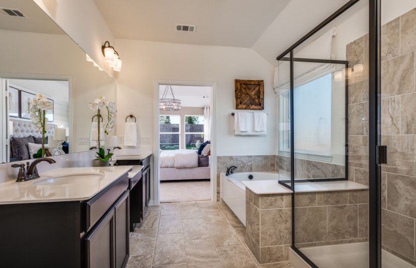 Owner's bath with separate shower, soaking tub, dual sinks, and a spacious walk-in closet