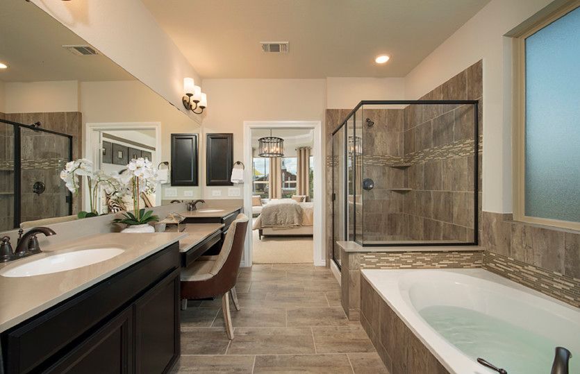 Owner's Bath