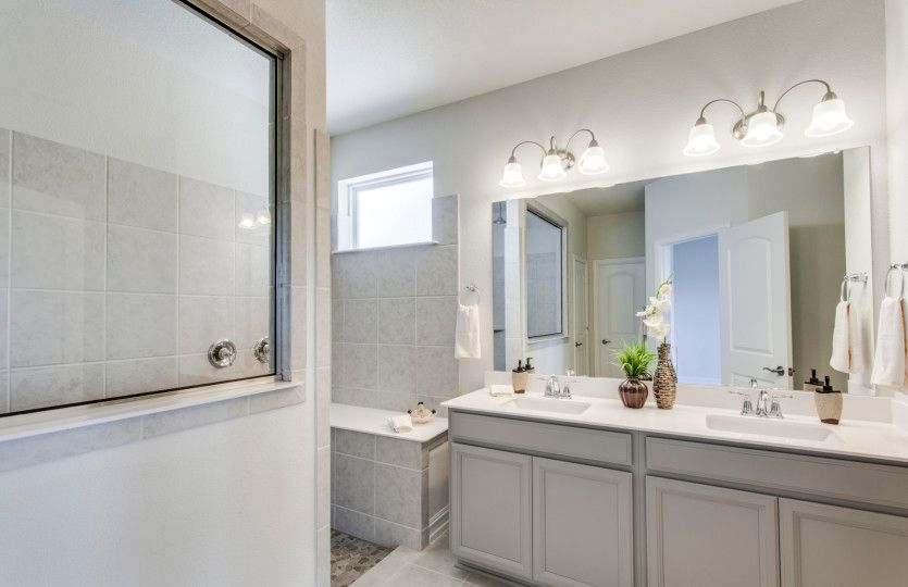 Optional Walk-in Shower
