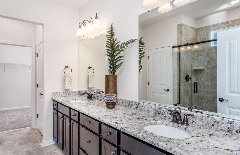 Owner's Bath