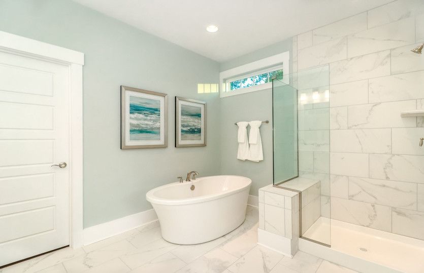 Owner's Bathroom, Model Representation