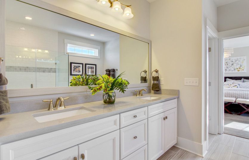 Owner's Bath