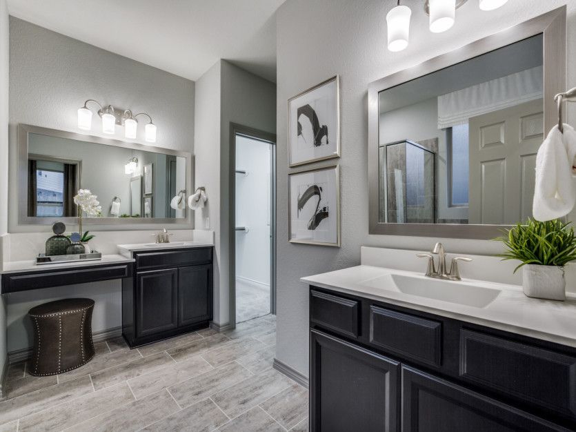 Owner's Bath