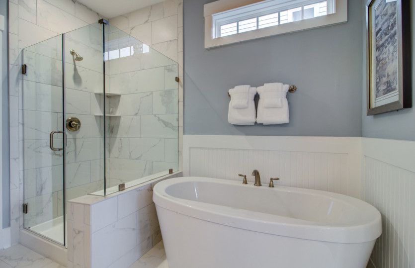 Owner's Bathroom, Model Representation