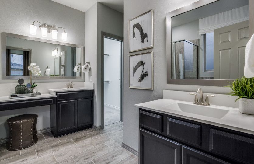 Owner's Bath