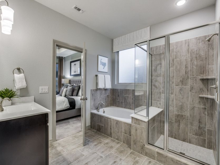 Owner's Bath