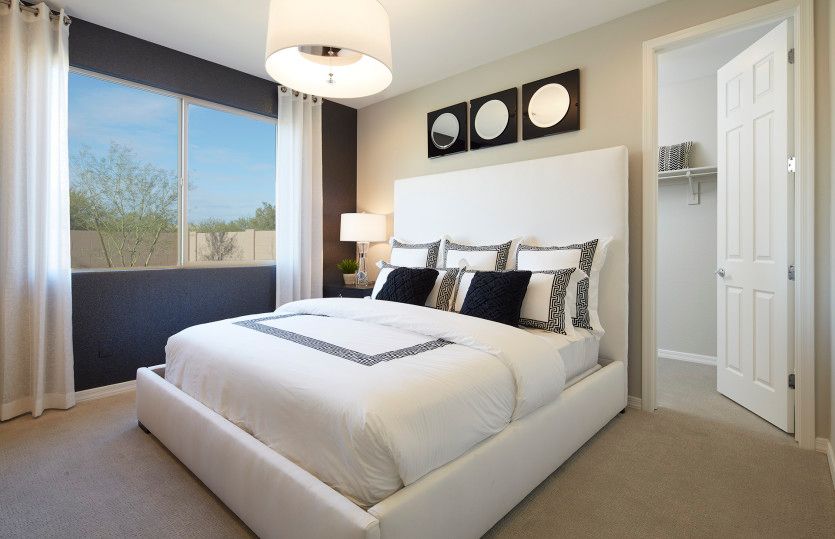 Owner's suite with oversized walk-in closet and private bathroom