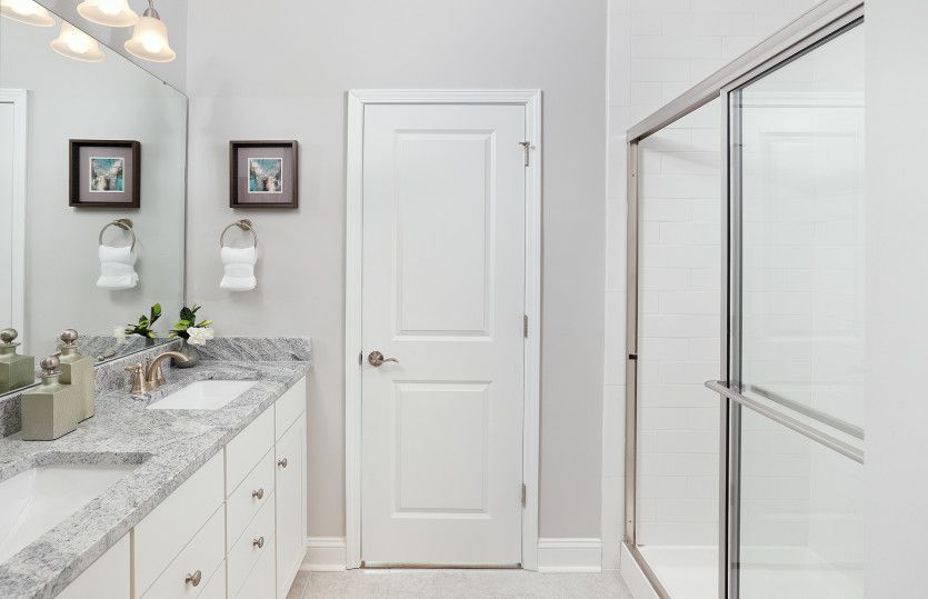 Owner's Bathroom, Model Representation