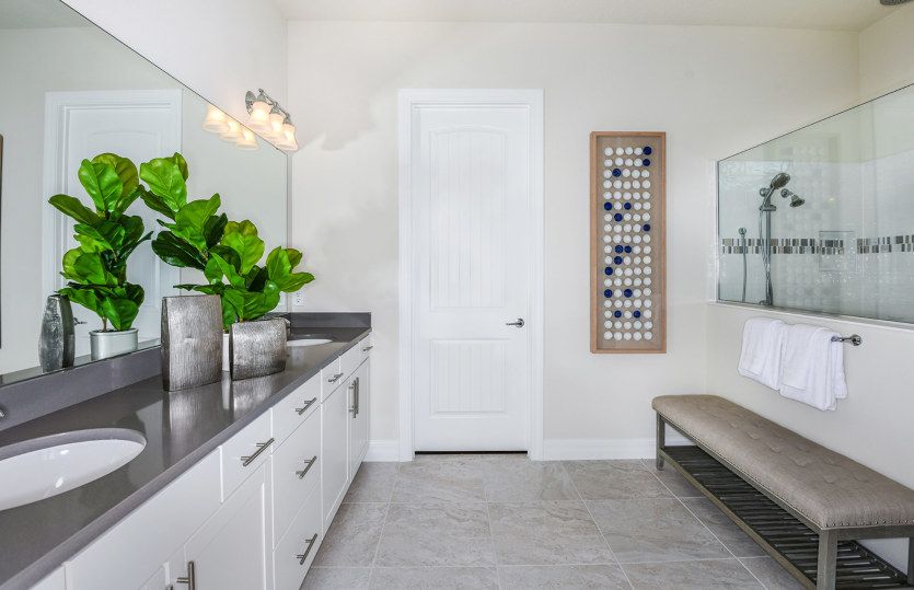 Owner's Bath