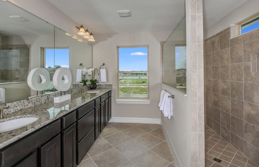 Owner's Bath