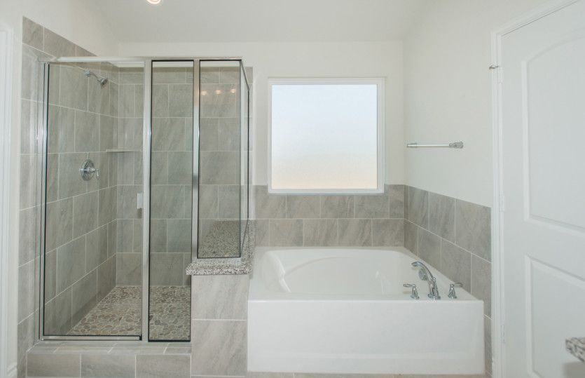 Owner's Bath