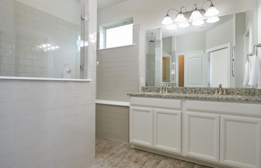 Owner's Bath