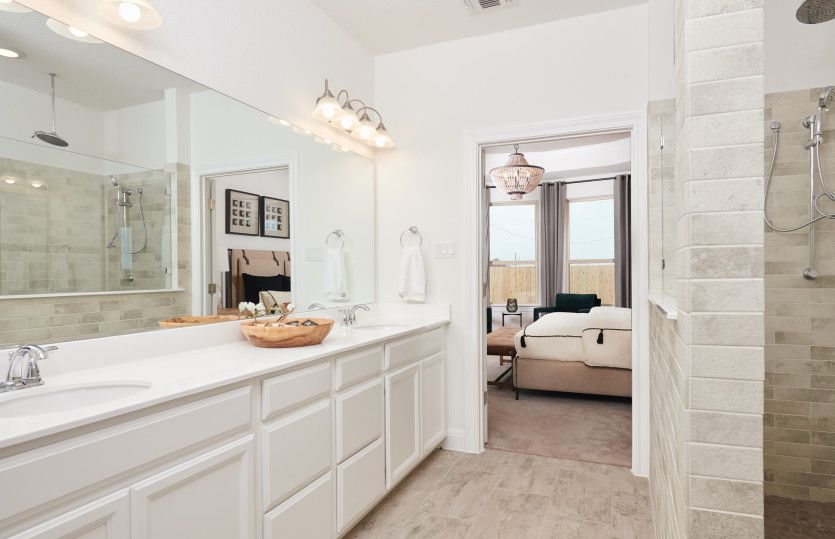 Owner's Bath