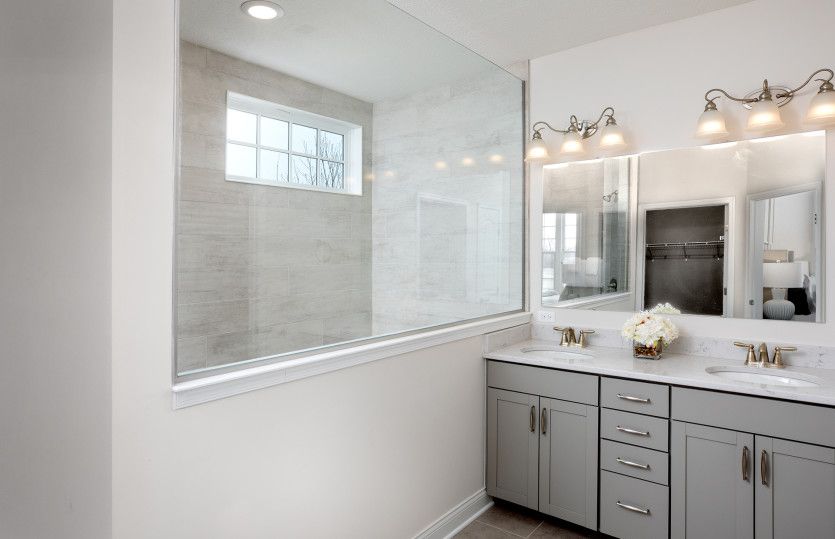 Owner's Bath