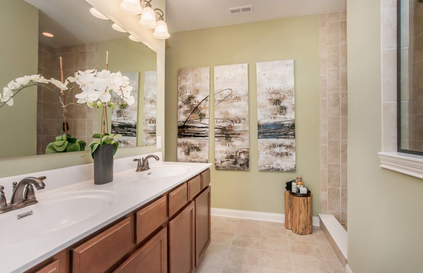 Owner's Bath Retreat