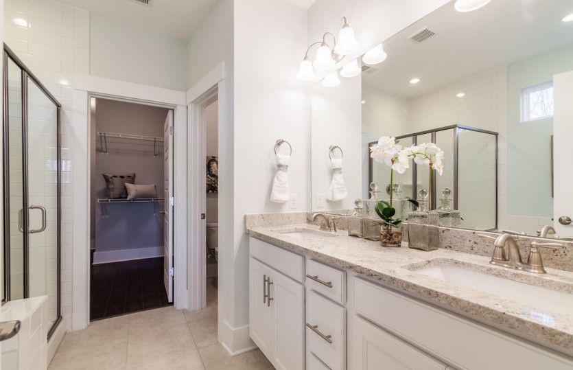 Model Representation