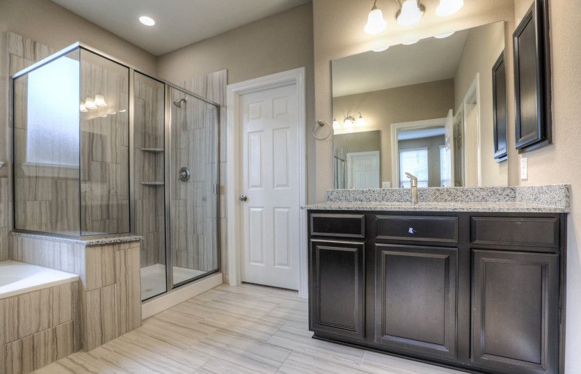 Owner's Bath