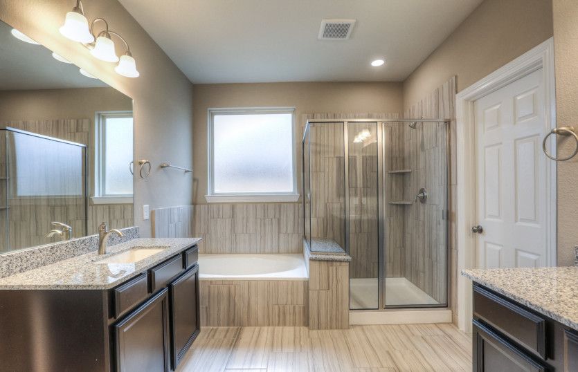 Owner's Bath